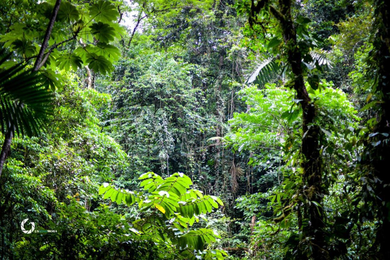 Princesa De La Luna Ecolodge Ла Фортуна Экстерьер фото
