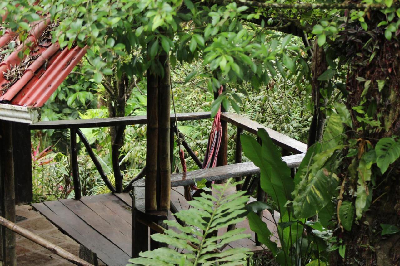 Princesa De La Luna Ecolodge Ла Фортуна Экстерьер фото