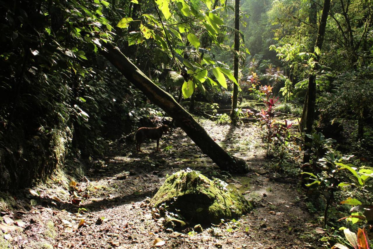 Princesa De La Luna Ecolodge Ла Фортуна Экстерьер фото