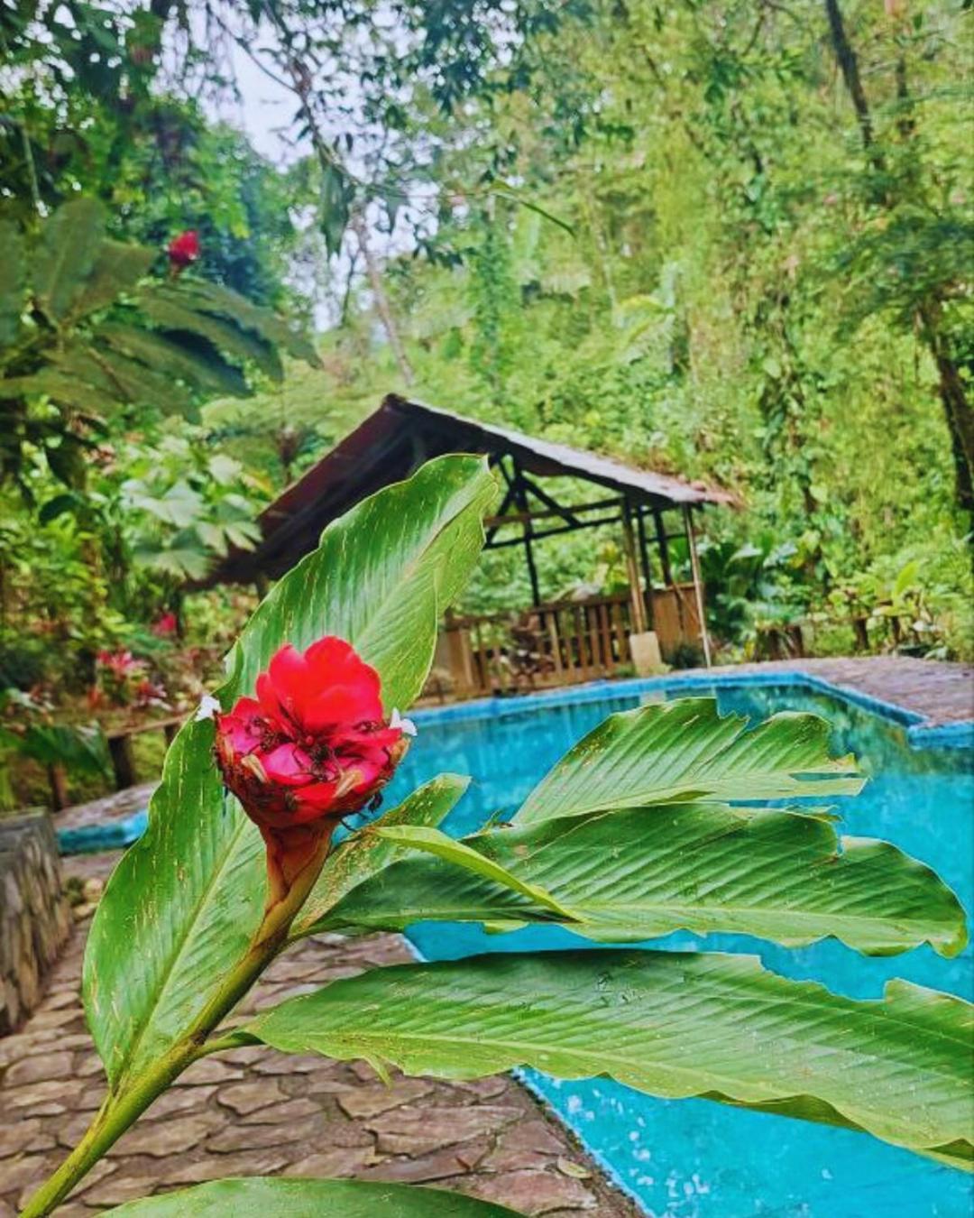 Princesa De La Luna Ecolodge Ла Фортуна Экстерьер фото